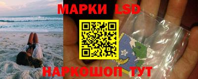 прущие грибы Краснодар