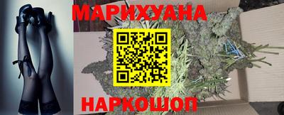 прущие грибы Краснодар