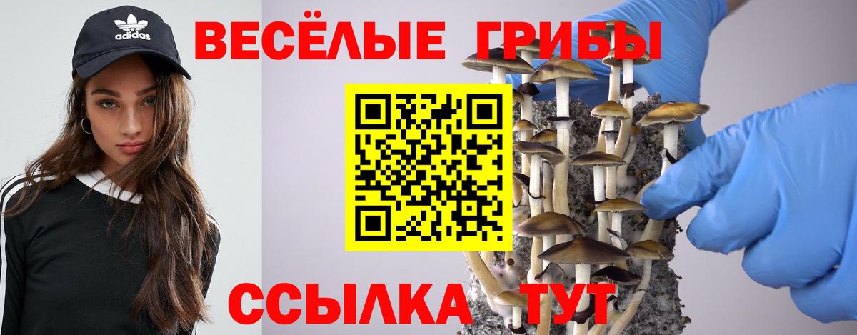 Галлюциногенные грибы Psilocybine cubensis Калач-на-Дону